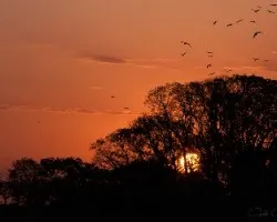 Atardecer en iberá 2