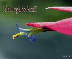 Feliz cumpleaños moci!!