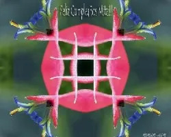 Feliz cumpleaños moci!!