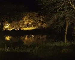 Reflejos en la noche