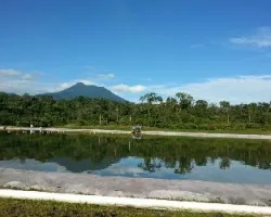 Reflejo del cacho negro