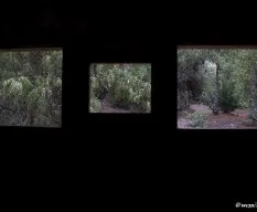 Atraves de la ventana