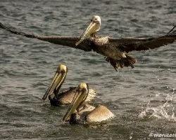 Movimiento congelado