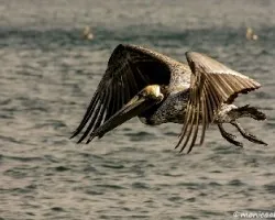 Movimiento congelado