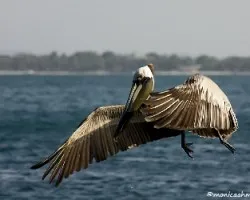 Movimiento congelado