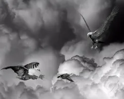 Naturaleza y ficción.