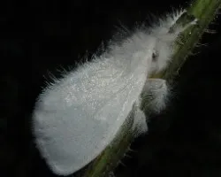 Maravillas de la Naturaleza
