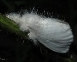 Maravillas de la Naturaleza