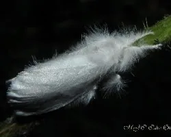 Maravillas de la Naturaleza