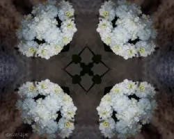 Despuntando el vicio!!