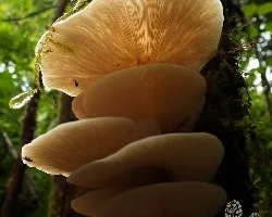 Peldaños a contraluz