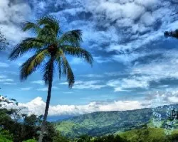 Cuenca del turrubares