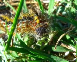 Re: reto del mes de octubre 2014