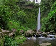 Aguas del guayabo