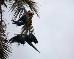 Reto del mes contra luz arboles