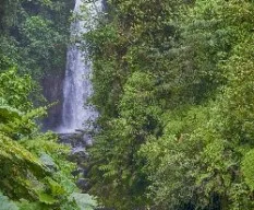Catarata magia blanca