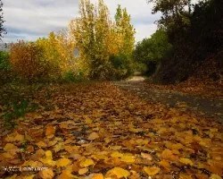 Caminos de otoño