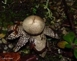 Un pedacito de suelo