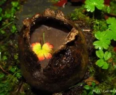 Un pedacito de suelo