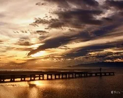 Hora dorada (delta del ebro)