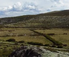 El pozo del lobo (una trampa para cazar el lobo ya por el medievo)