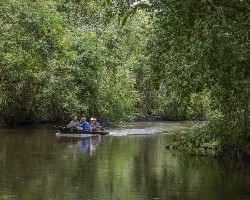 Refugio nacional de vida silvestre caño negro