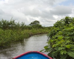 Refugio nacional de vida silvestre caño negro