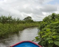Refugio nacional de vida silvestre caño negro