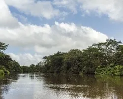 Refugio nacional de vida silvestre caño negro