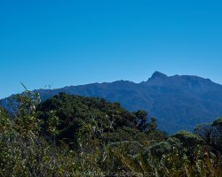 Cerro kamuk