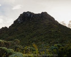 Cerro kamuk