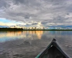 Recuerdos del pantanal